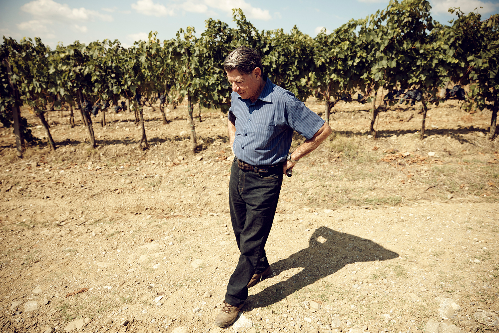 Vino Rietine